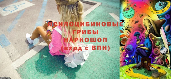 PSILOCYBIN Алексеевка
