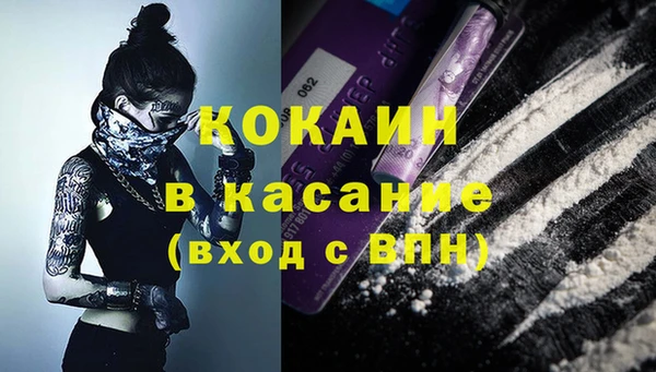 прущие грибы Алексин