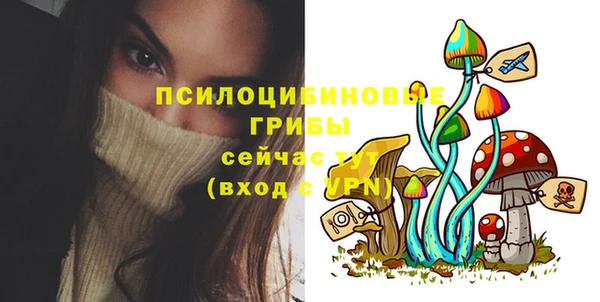 PSILOCYBIN Алексеевка